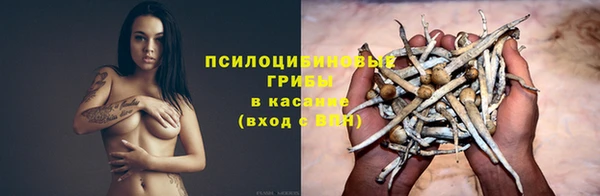 ешки Армянск